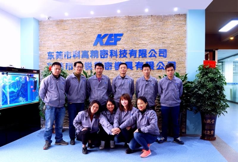 China Dongguan Kegao Precision Technology Co., Ltd. Perfil de la compañía